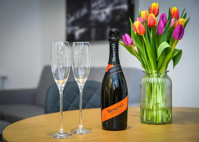 La Glace S Bezplatnym Parkoviskom * 马汀